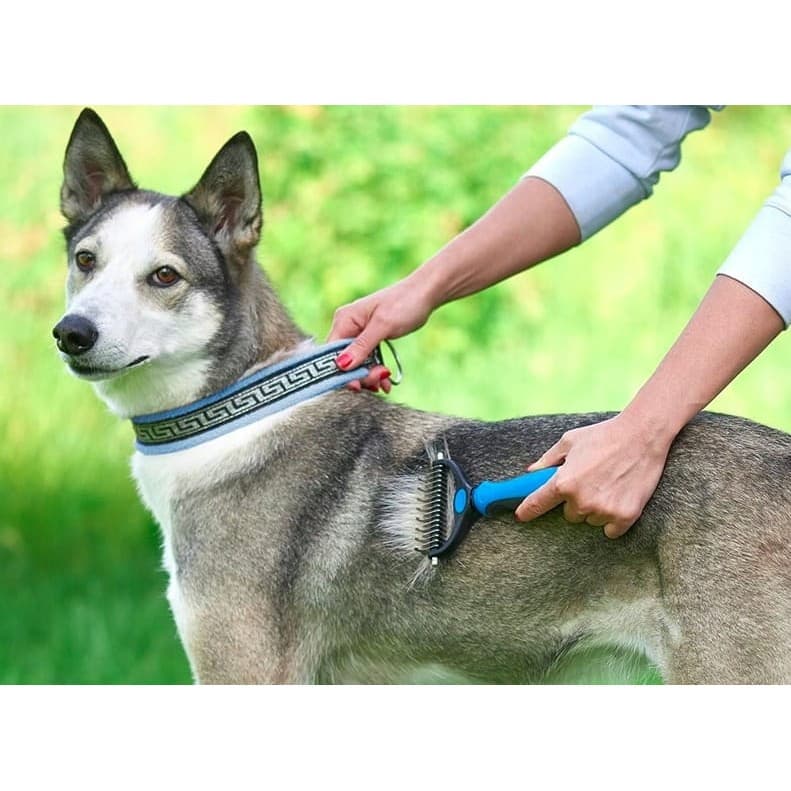 Pieptene pentru părul de animale, dispozitiv de ingrijire cu două fețe, albastru 3