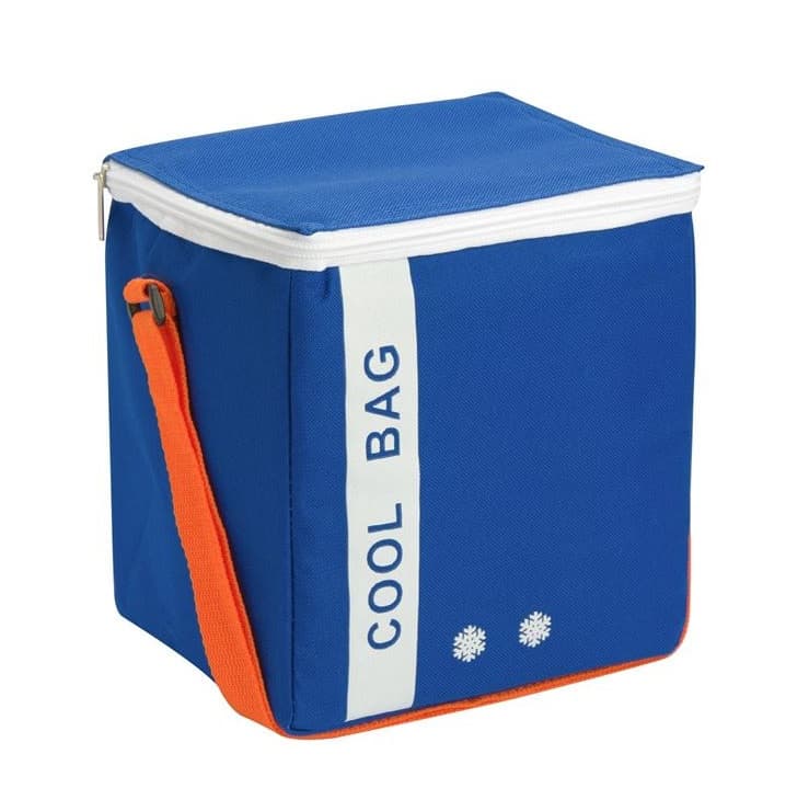 Geanta izoterma Cool Bag, 19 x 15 x 20 cm, 6 litri, albastra 1
