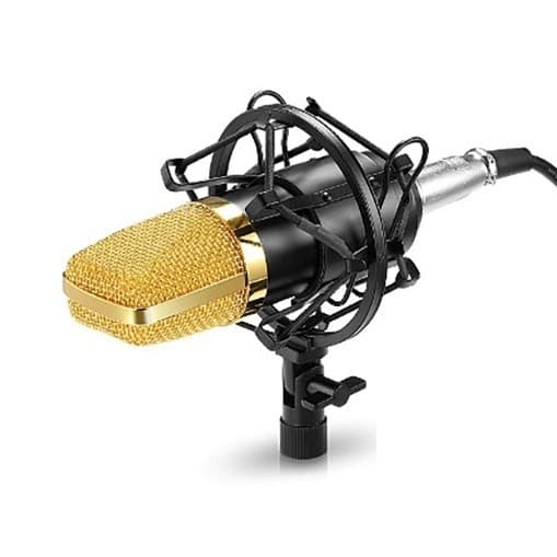 Microfon profesional Andowl Q-Mic3 pentru karaoke, vlogging, podcast, negru/auriu 1