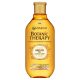 Sampon Garnier Botanic Therapy Argan Oi & Camelia pentru par normal spre uscat, 250 ml