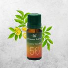 Ulei parfumat Aroma Land, 10 ml, Ylang Ylang