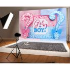 Banner pentru petrecere, model Girl or Boy, tematica Gender Reveal, 150 x 100 cm, albastru/roz