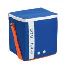 Geanta izoterma Cool Bag, 19 x 15 x 20 cm, 6 litri, albastra