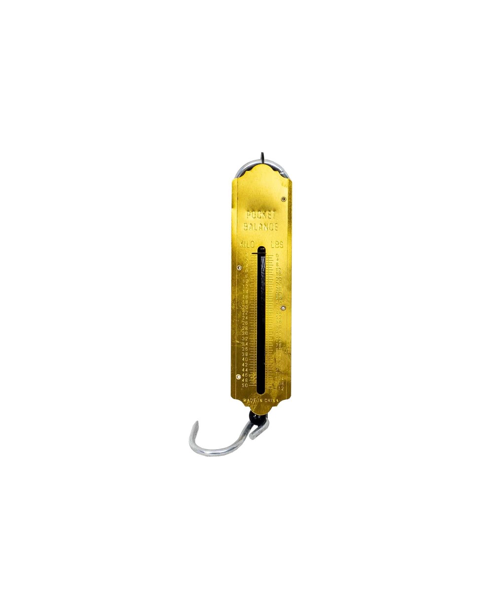 Cantar de mana, maxim 50kg, 31cm, metal Z-TOOLS / 161