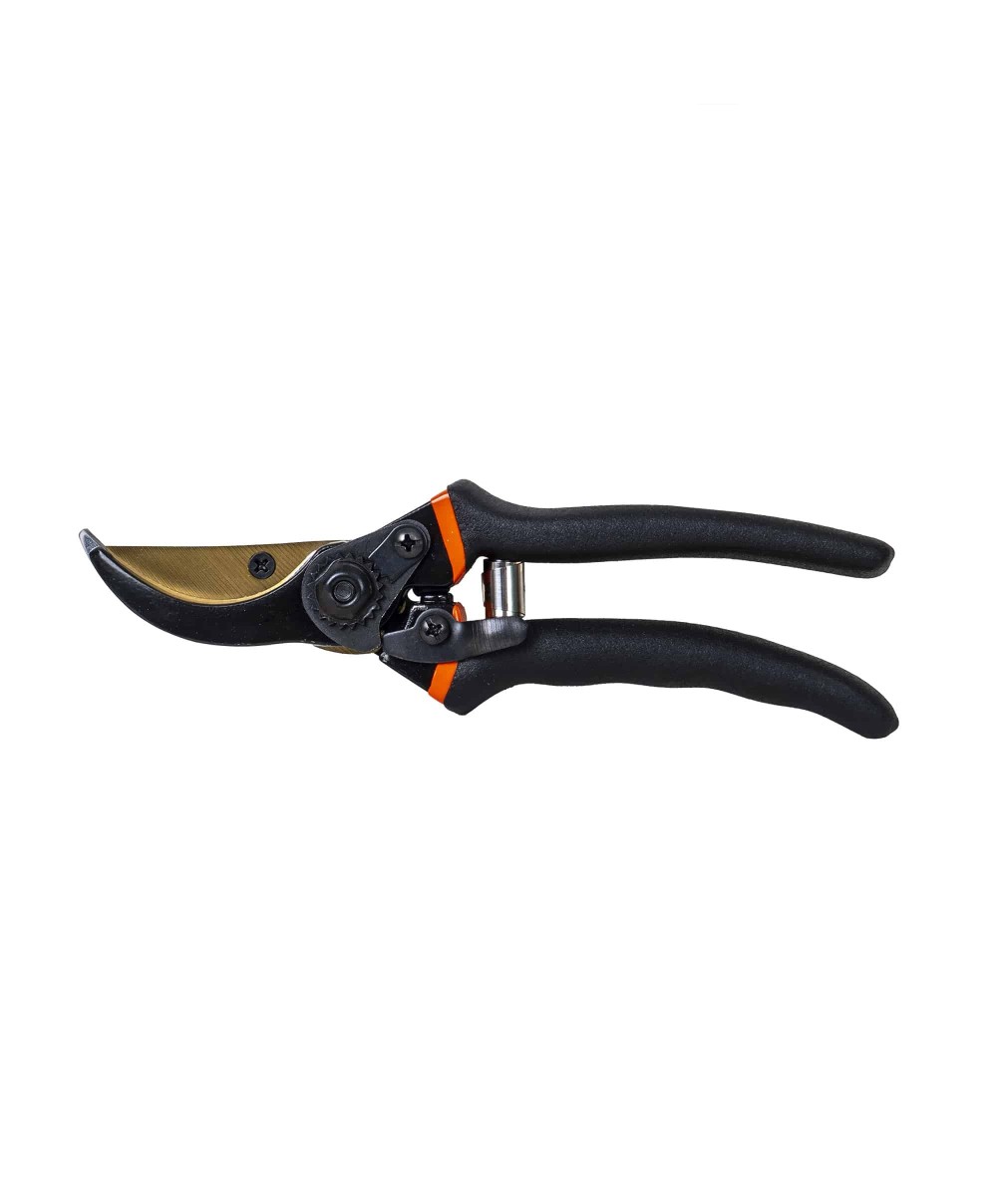Foarfeca profesionala pentru vita de vie, 20mm / ZLN 5876