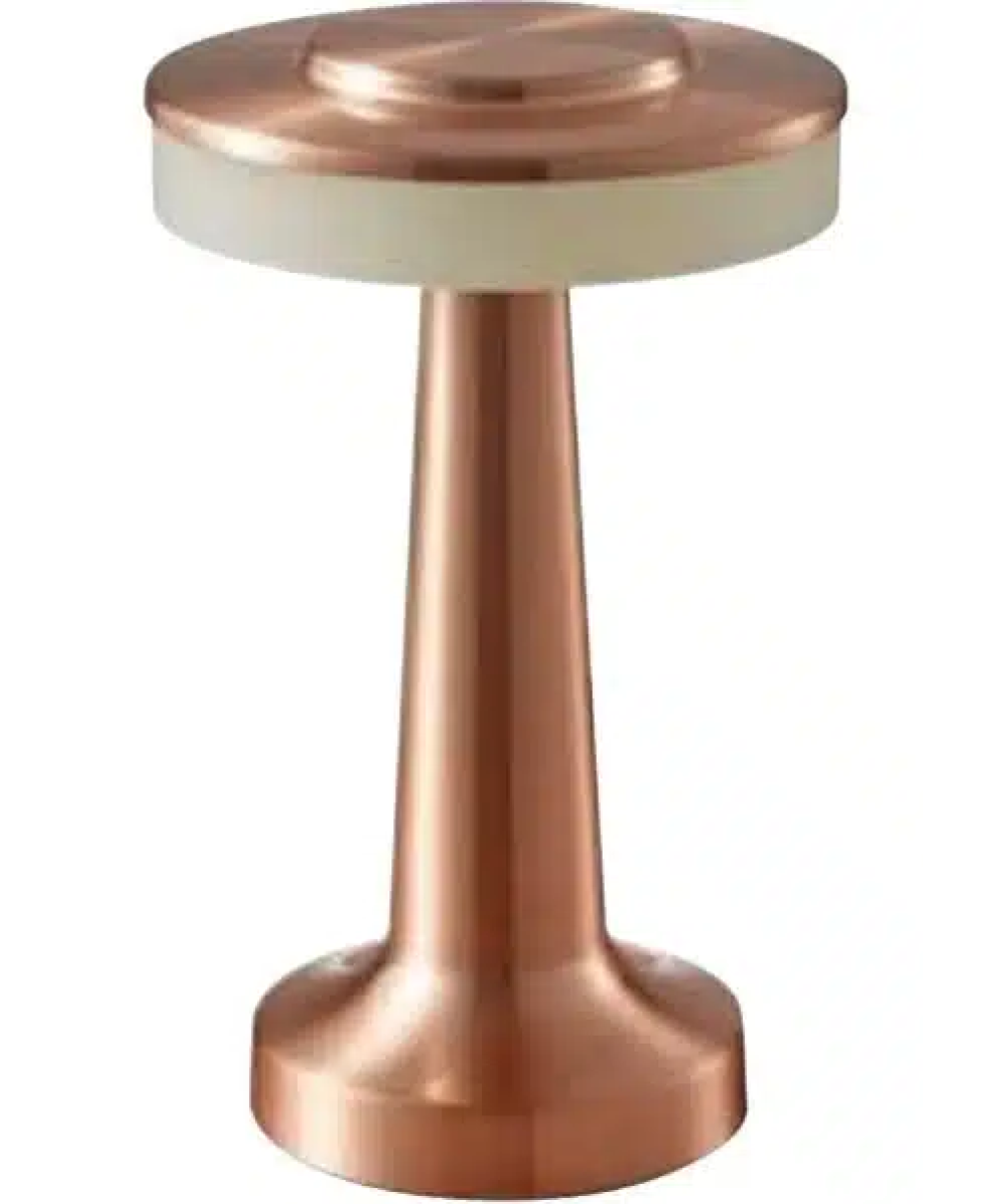 Lampa pentru birou, 2W, incarcare USB, PRONTO 3CCT, rose, HOROZ / 050-002-0001