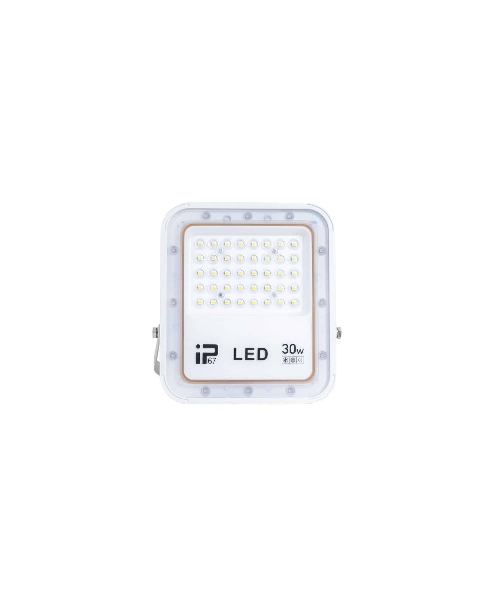 Proiector cu LED, putere 30W, IP66, alb Z-TOOLS / ZTS9018